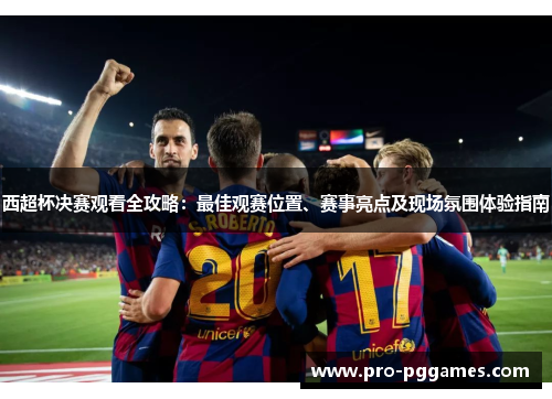 西超杯决赛观看全攻略：最佳观赛位置、赛事亮点及现场氛围体验指南