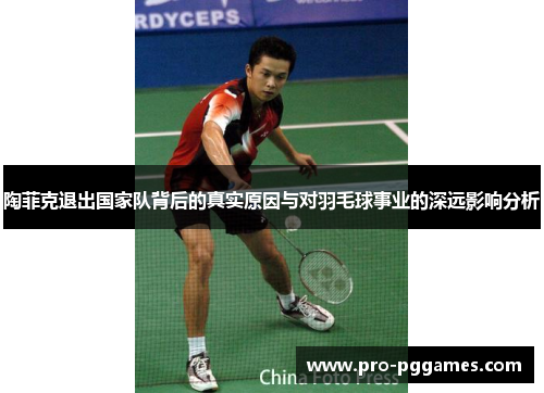 陶菲克退出国家队背后的真实原因与对羽毛球事业的深远影响分析