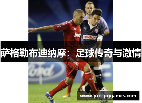 萨格勒布迪纳摩：足球传奇与激情