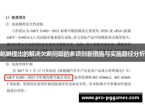 赵鹏提出的解决欠薪问题的多项创新措施与实施路径分析