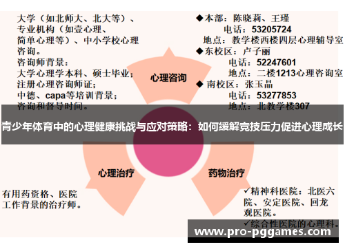 青少年体育中的心理健康挑战与应对策略：如何缓解竞技压力促进心理成长