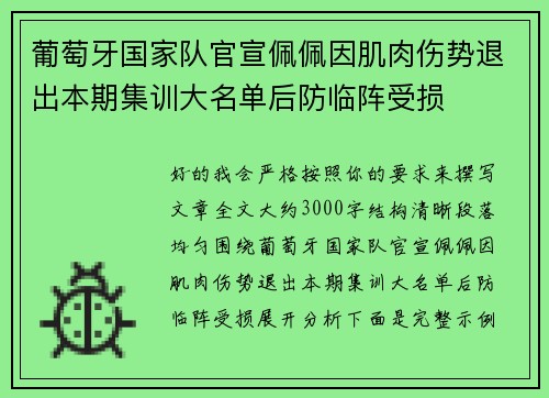 葡萄牙国家队官宣佩佩因肌肉伤势退出本期集训大名单后防临阵受损 葡萄牙国家队官宣佩佩因肌肉伤势退出本期集训大名单后防临阵受损